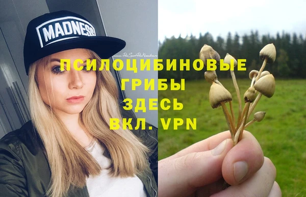 гидропоника Алексеевка