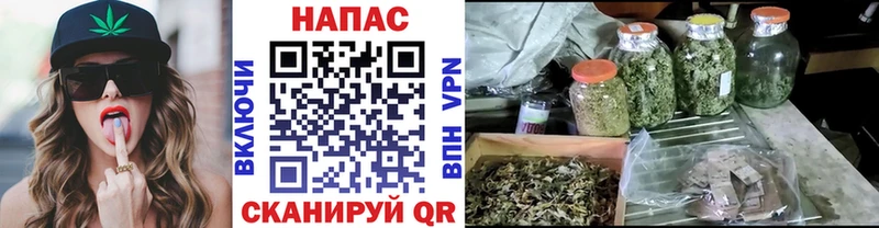 Конопля план  ссылка на мегу   Арск 